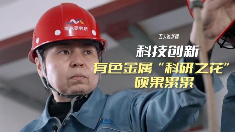 机器学习平台应用标准规范：构建高效AI解决方案的关键